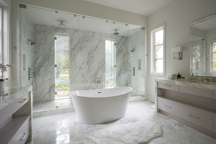 Bathroom Remodel / Design Photo Gallery & Ideas - Chicago